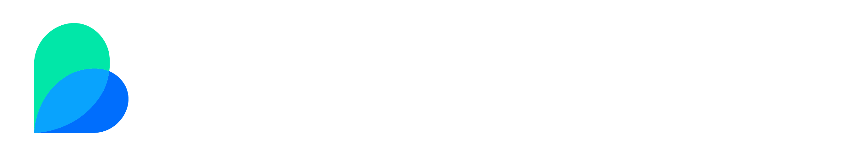Bnetfit Mesh