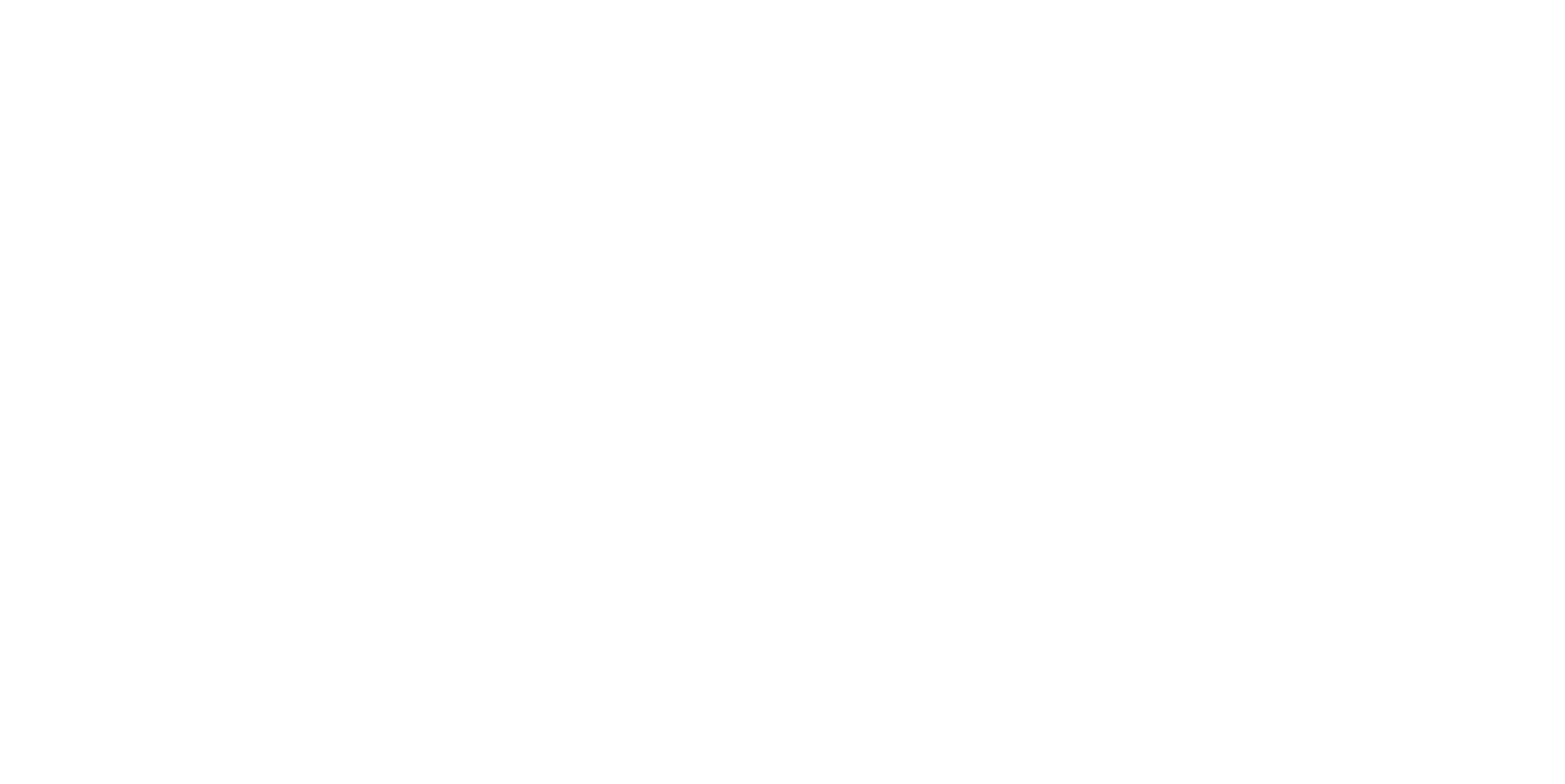 SMBD-Bnetfit Max